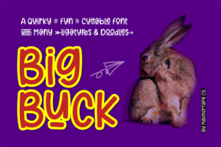BigBuck: A Font Designed for Editorial Joy